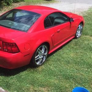 Meet your Posher, Xavier